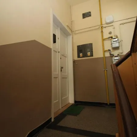 Ali * 索斯诺维茨